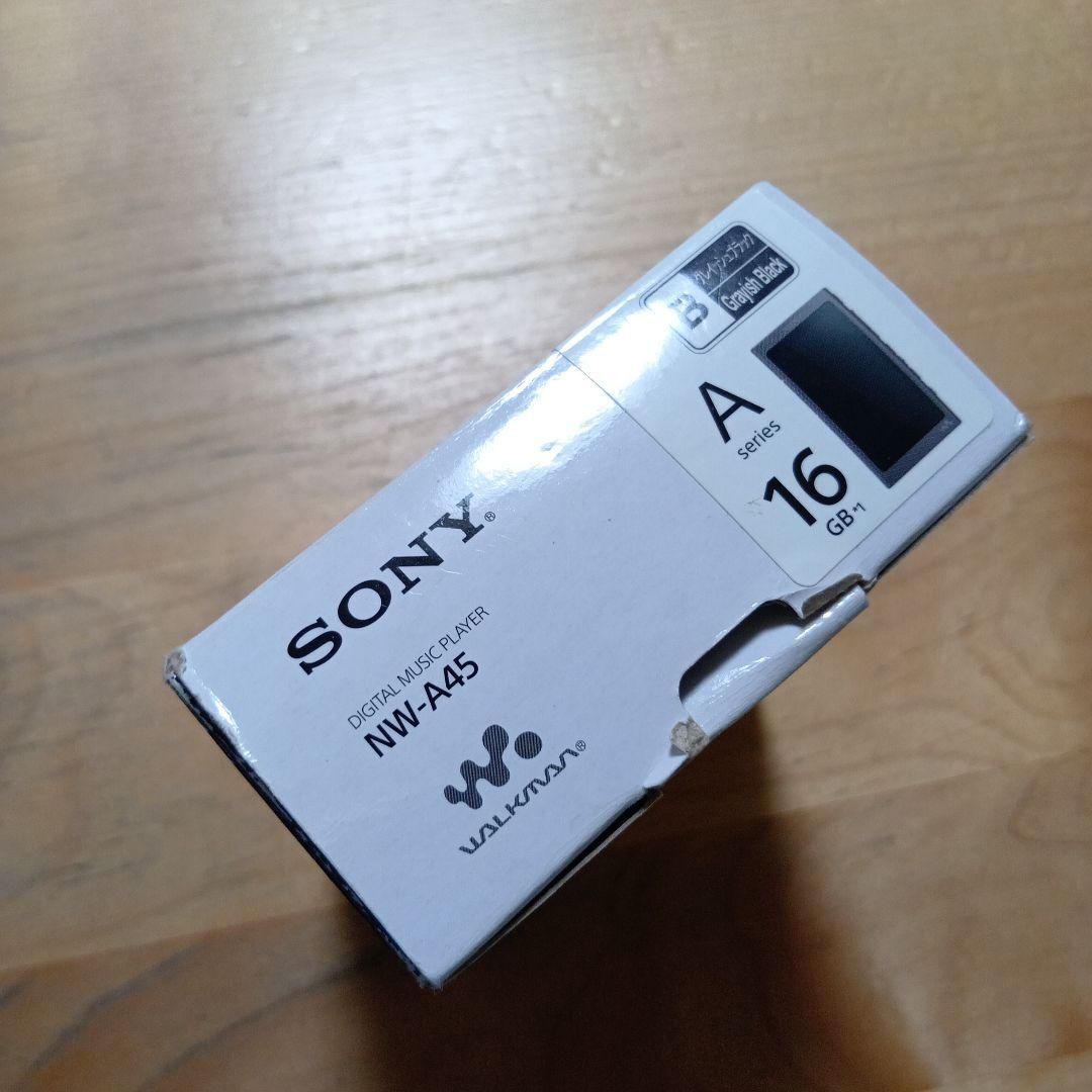 ☪*.様 SONYウォークマンNW-A45 16GB
