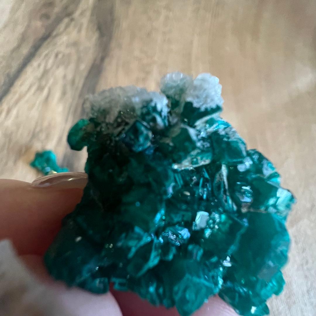 ダイオプテーズ F8 鉱物 標本 原石