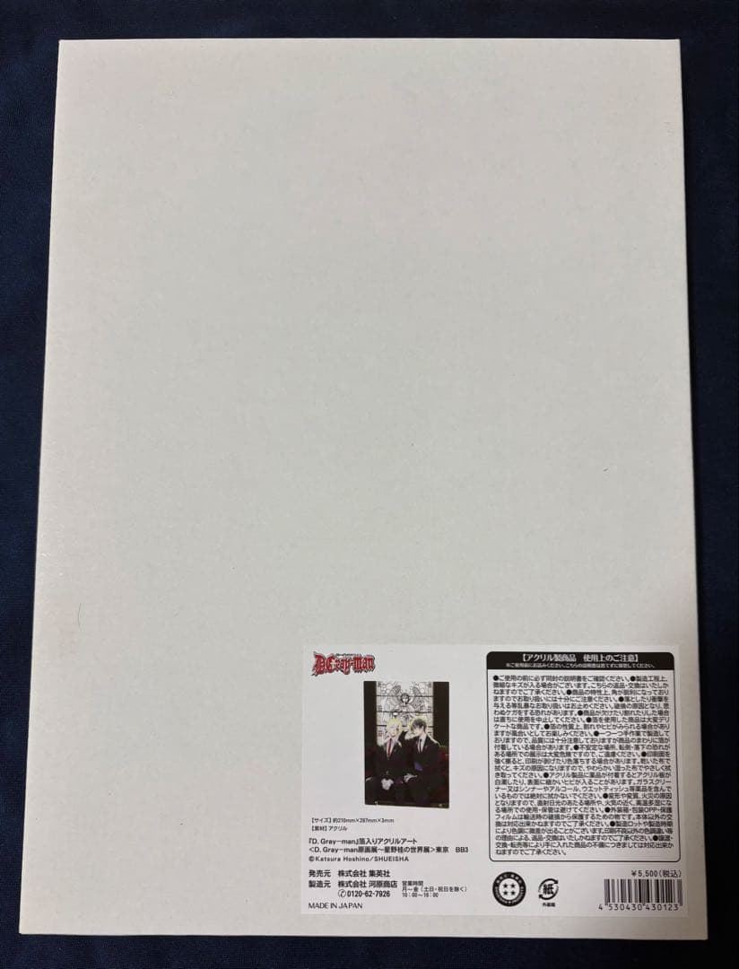 D.Gray-man Dグレ 箔入りアクリルアート（アレン&ネア）