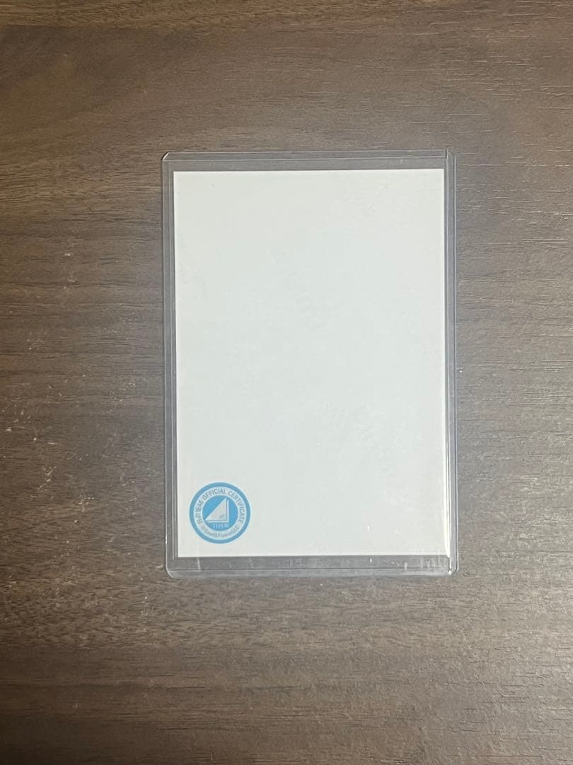 藤嶌果歩 サイン入り写真 ネイビーサンタ