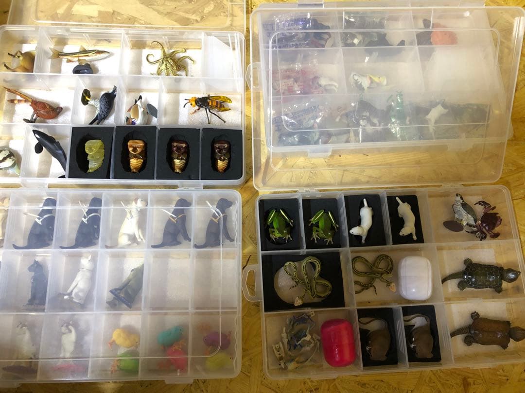 チョコエッグ日本の動物コンプリート