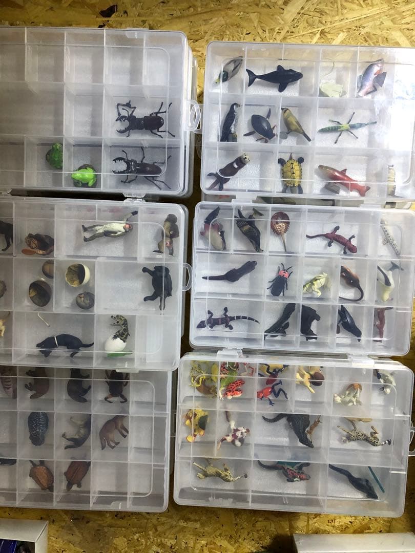 チョコエッグ日本の動物コンプリート