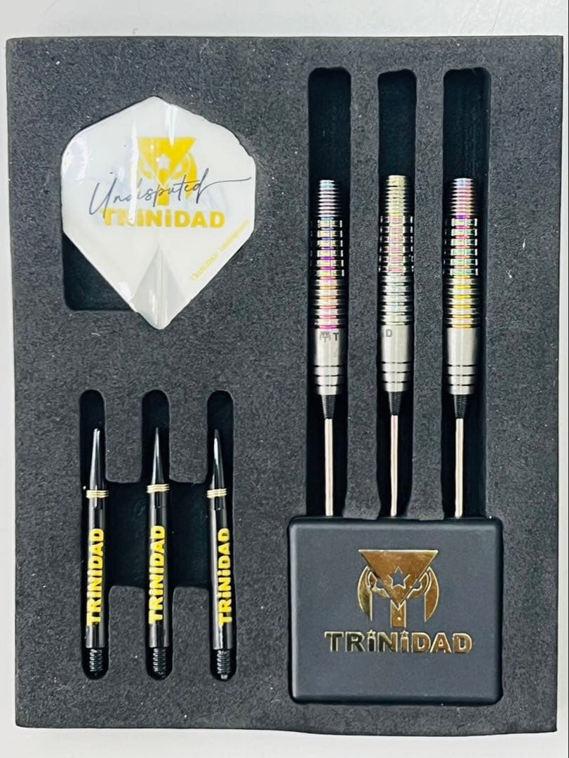 ダーツ バレル 岩田夏海 トリニダード アンディスピューティド ロメロ IWNM