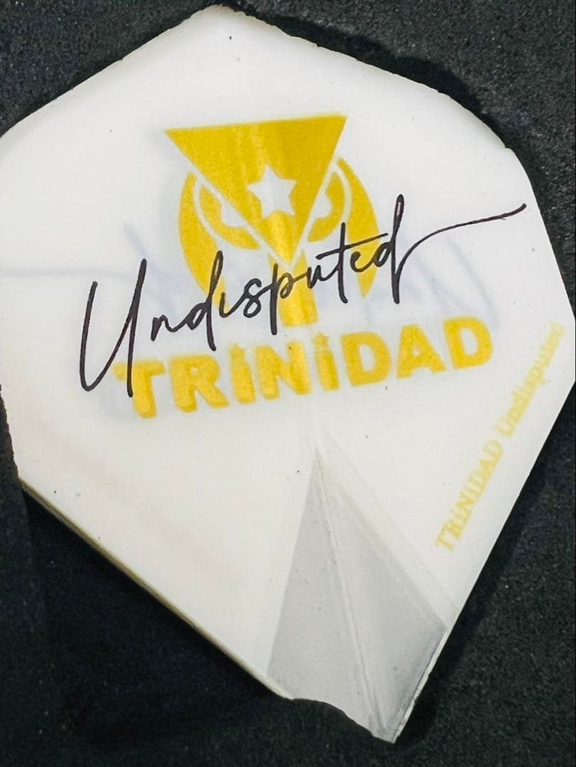 ダーツ バレル 岩田夏海 トリニダード アンディスピューティド ロメロ IWNM