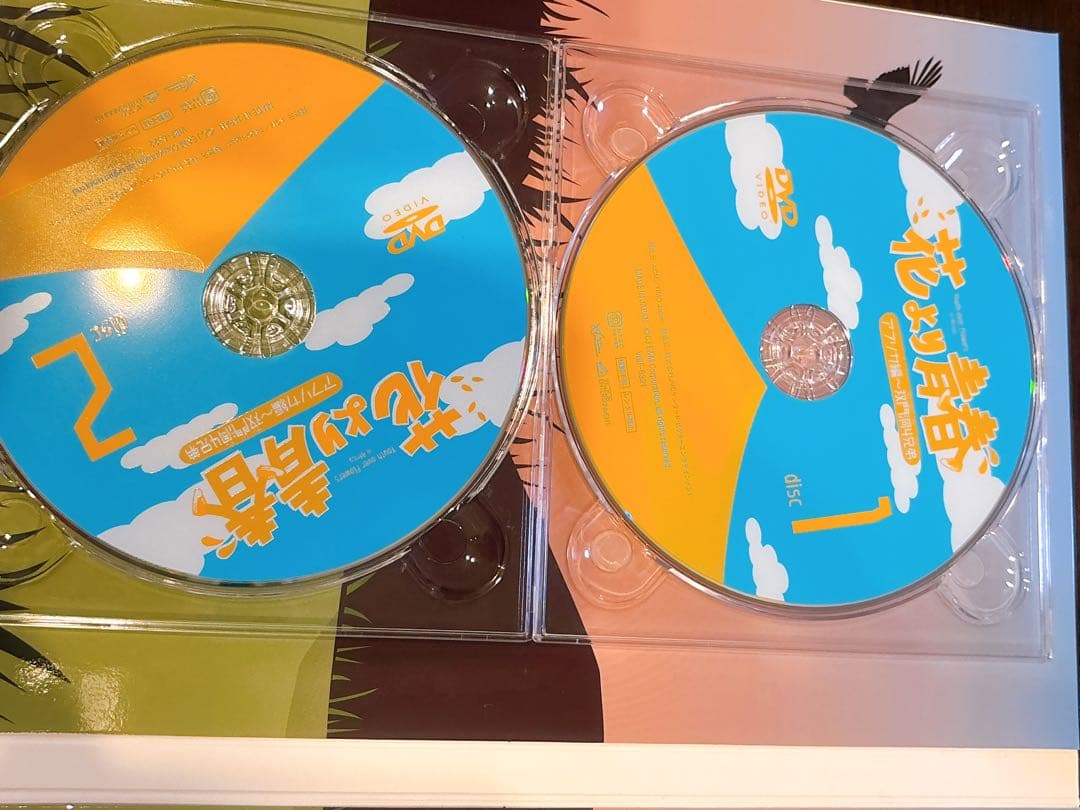 花より青春～アフリカ編 双門洞(サンムンドン)4兄弟 DVD-BOX〈7枚組〉