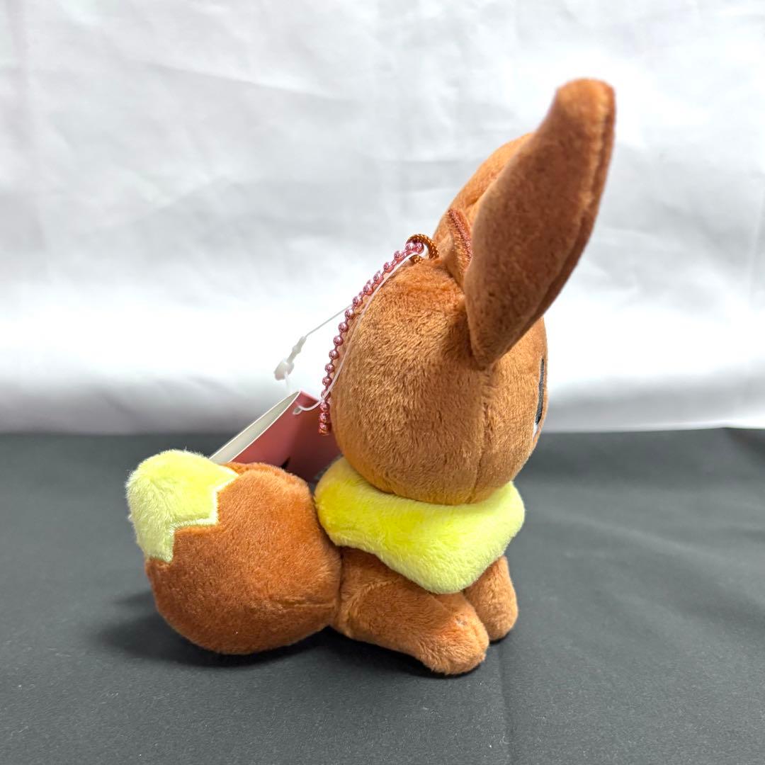 ポケモンセンター pokemon time ポケモンタイム マスコット イーブイ