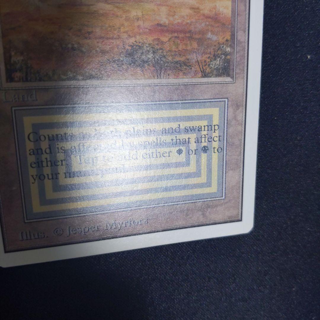 ●【貴重】【裏面訳アリ】Tropical 　２ED　英語１枚