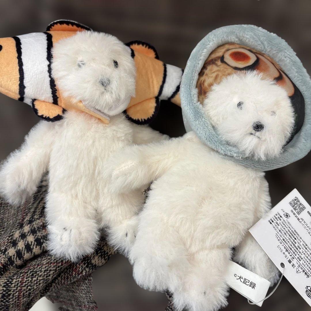 犬記録　2個セット