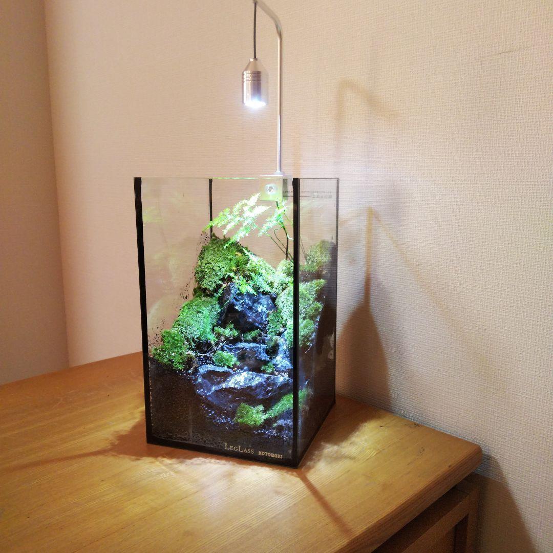 【受注生産】苔テラリウム