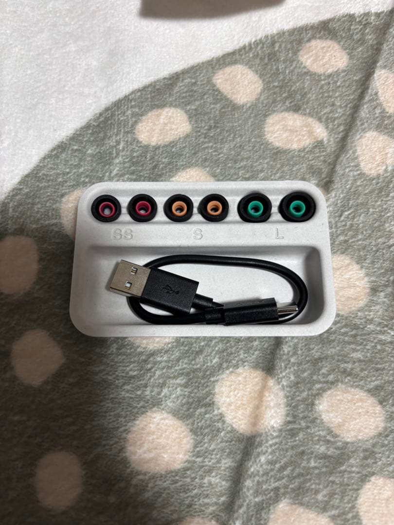 イヤホン Sony wf-1000xm5