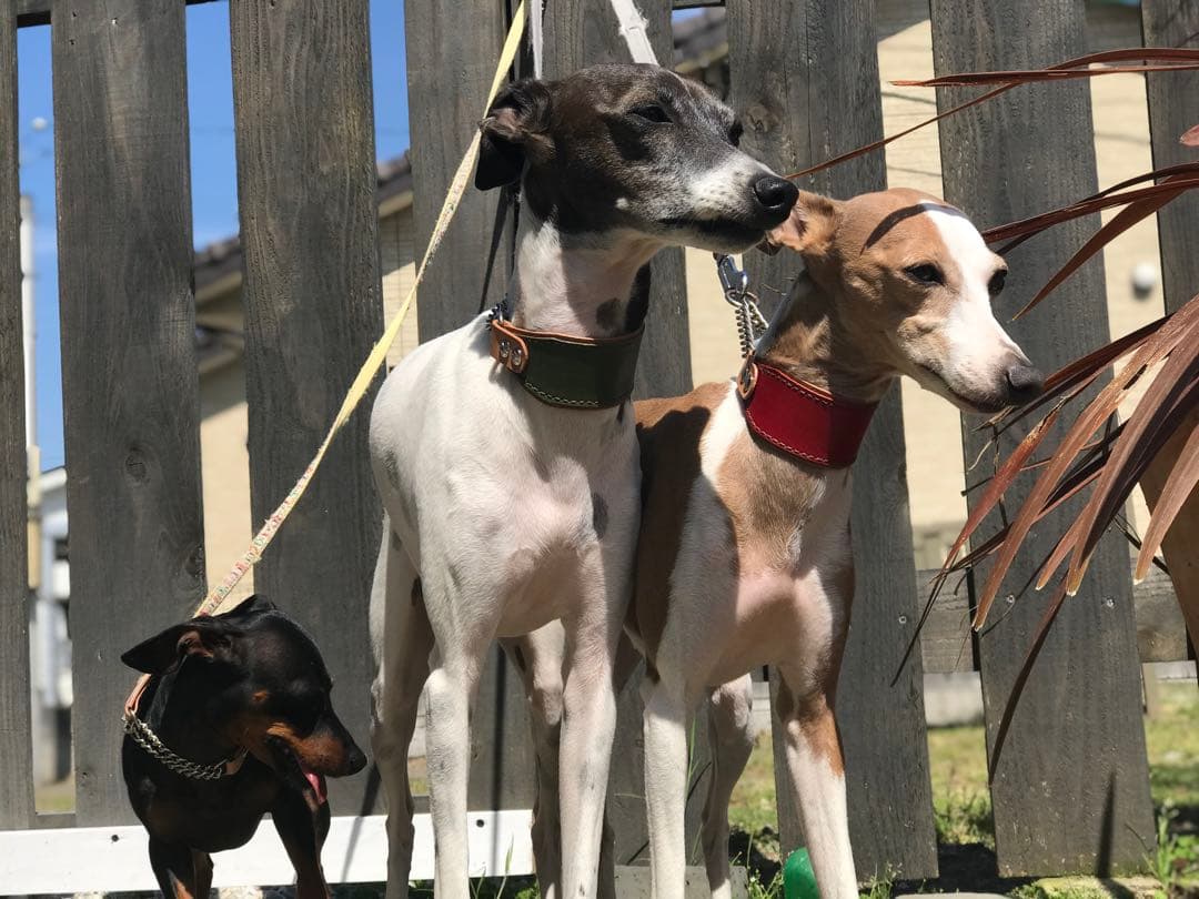 森 ハーフチョークオーダー