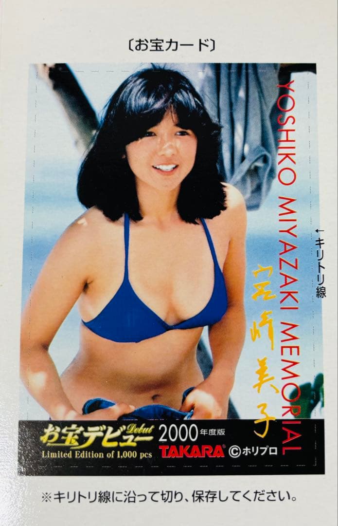 斉藤哲夫のCMソングで人気爆発した 宮崎美子のフィギュアとカメラマン