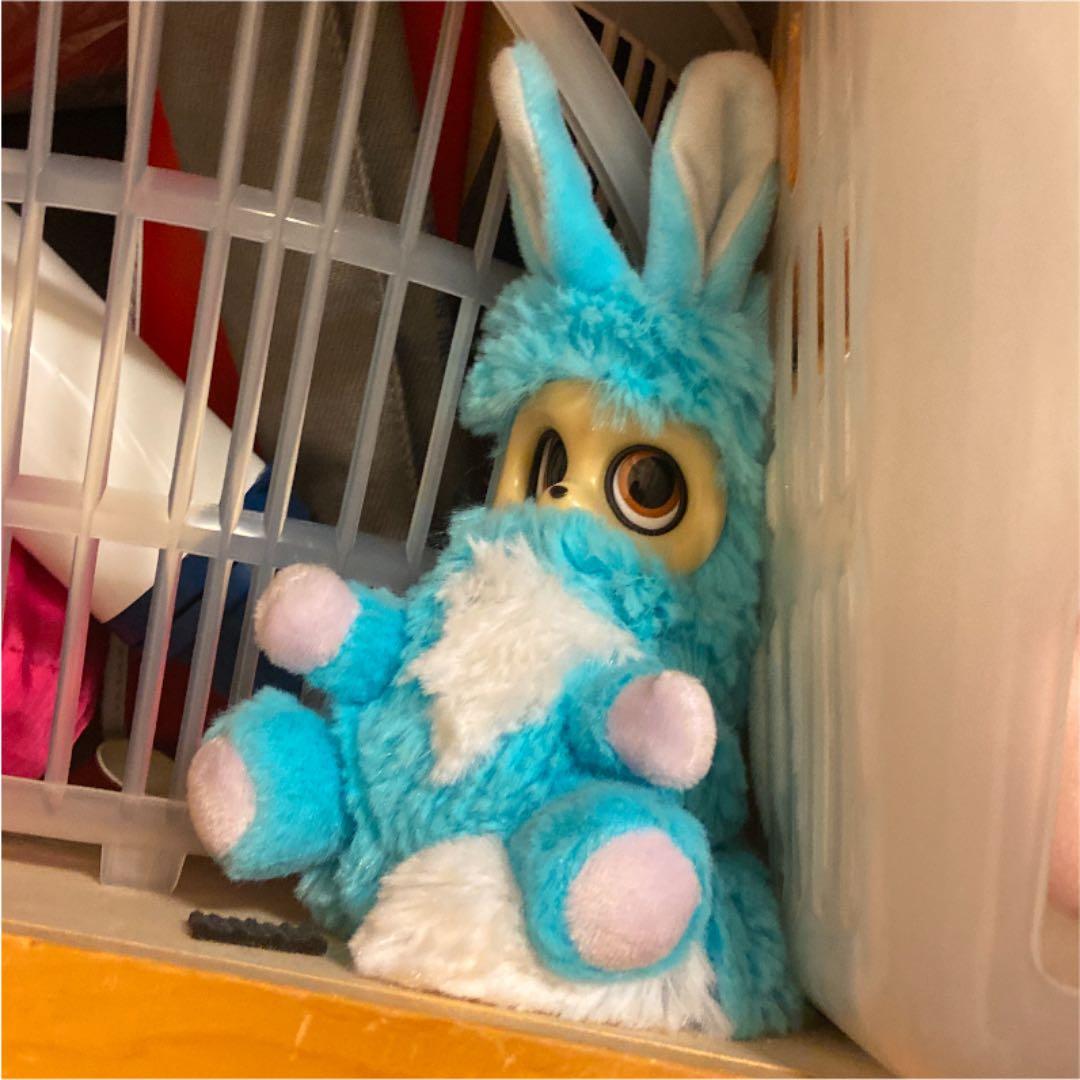 めがうごくぬいぐるみ