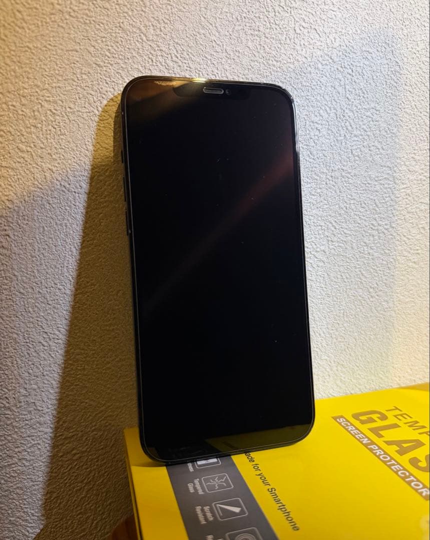 iPhone 12 Pro Max 256GB (正規店バッテリー交換済み)