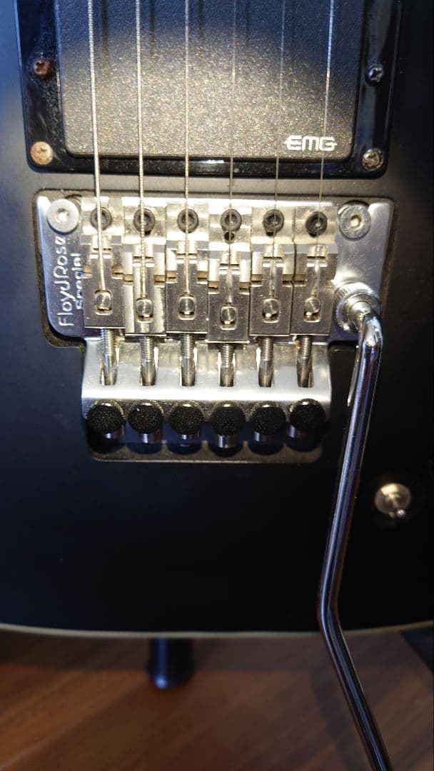 SCHECTER　DAMIEN PLATINUM-6FR-S