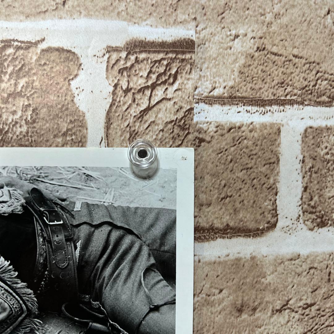 【稀少・非売品】五匹の用心棒 / 必殺の用心棒　スチール写真