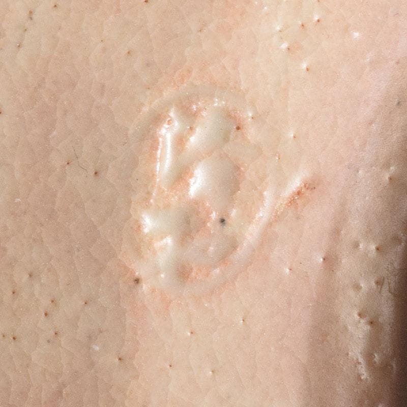 茶道具　志野焼　立鶴絵　茶碗　在銘　時代箱　V　R9374