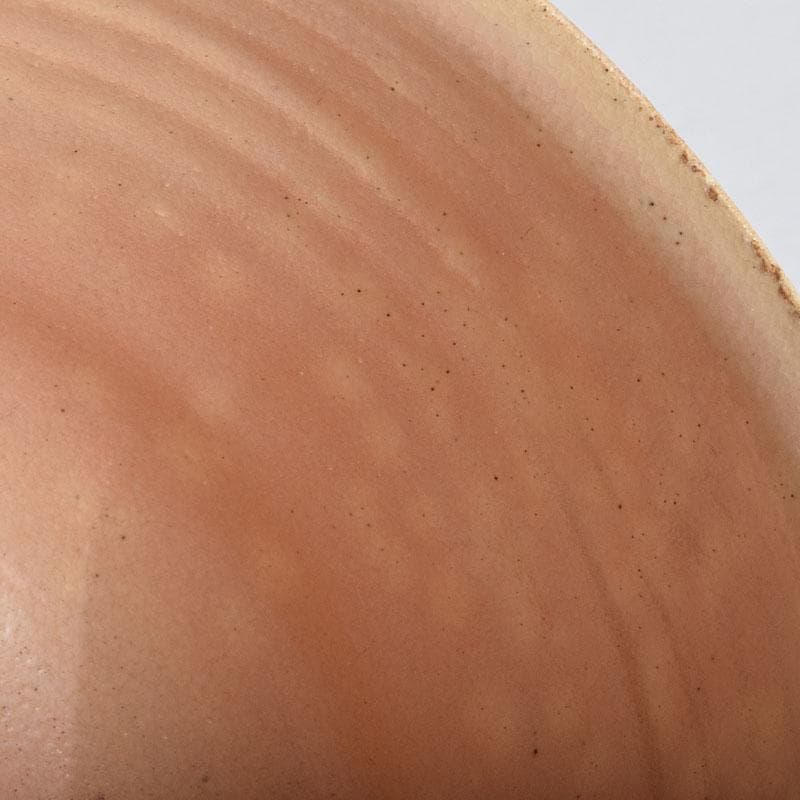 茶道具　志野焼　立鶴絵　茶碗　在銘　時代箱　V　R9374