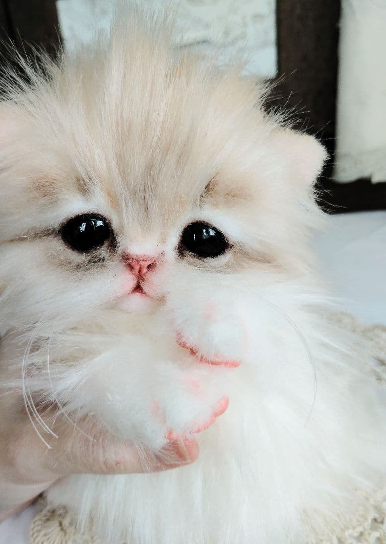 ミヌエット♡子猫のプニちゃん♡アートドール♡ぬいぐるみ♡