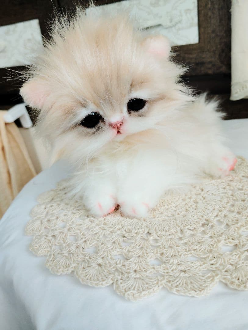 ミヌエット♡子猫のプニちゃん♡アートドール♡ぬいぐるみ♡