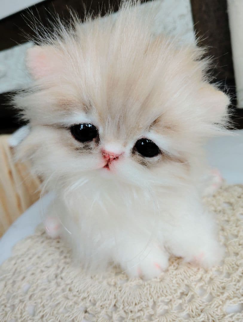 ミヌエット♡子猫のプニちゃん♡アートドール♡ぬいぐるみ♡