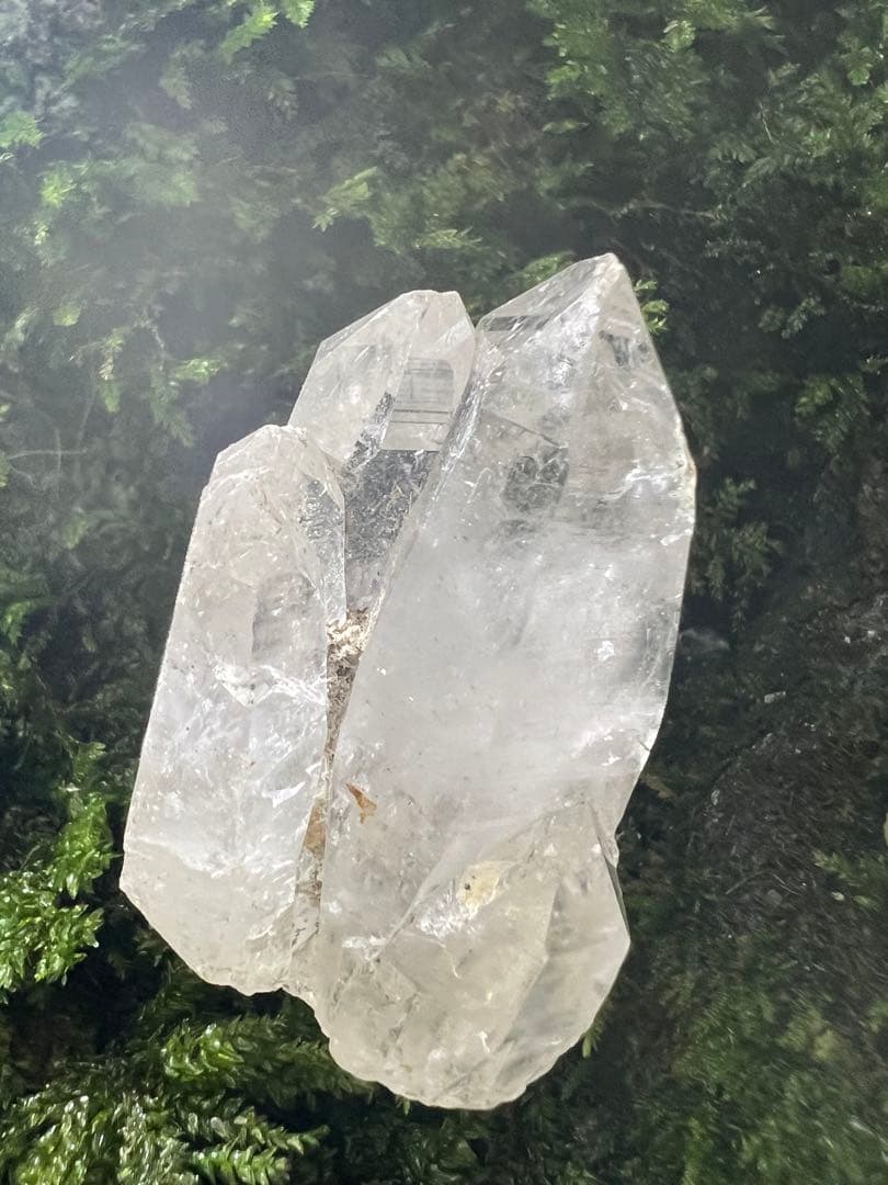 龍脈の精髄 虹入りカテドラル水晶宝石質AAA （売上の一部は保護猫活動に使用）