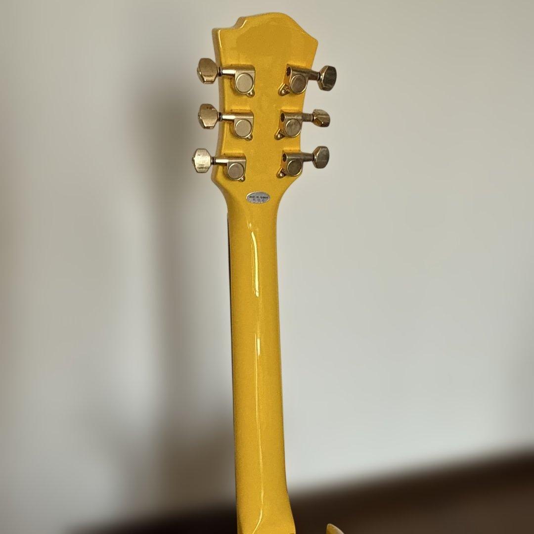 Burny エレキギター ハート柄