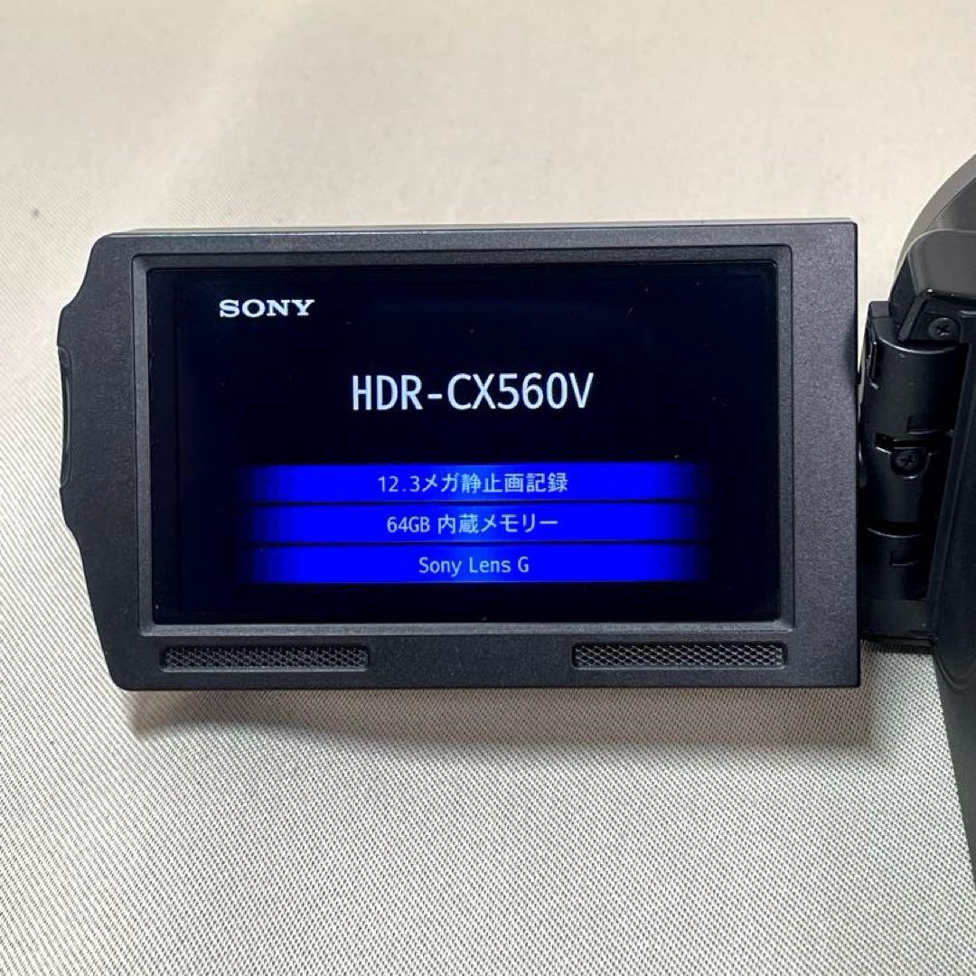 SONY Handycam HDR-CX560V ビデオカメラ