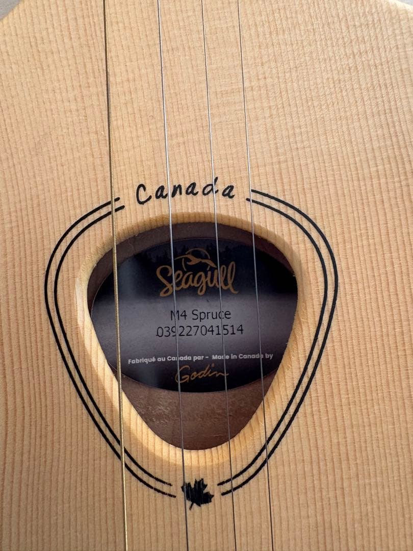 シーガルマーリン４弦ギター