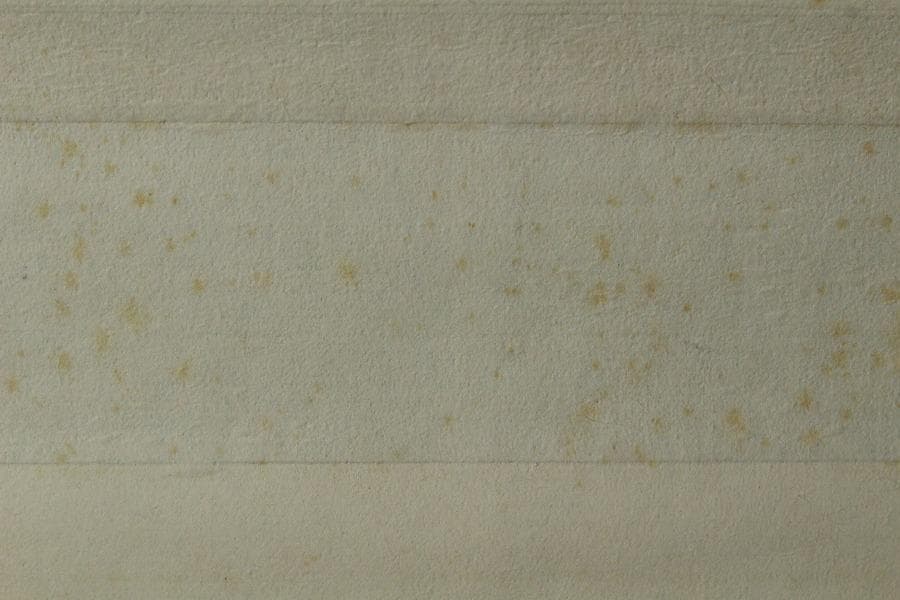 大田垣蓮月 筆 短冊 和歌 軸(K-YC545)