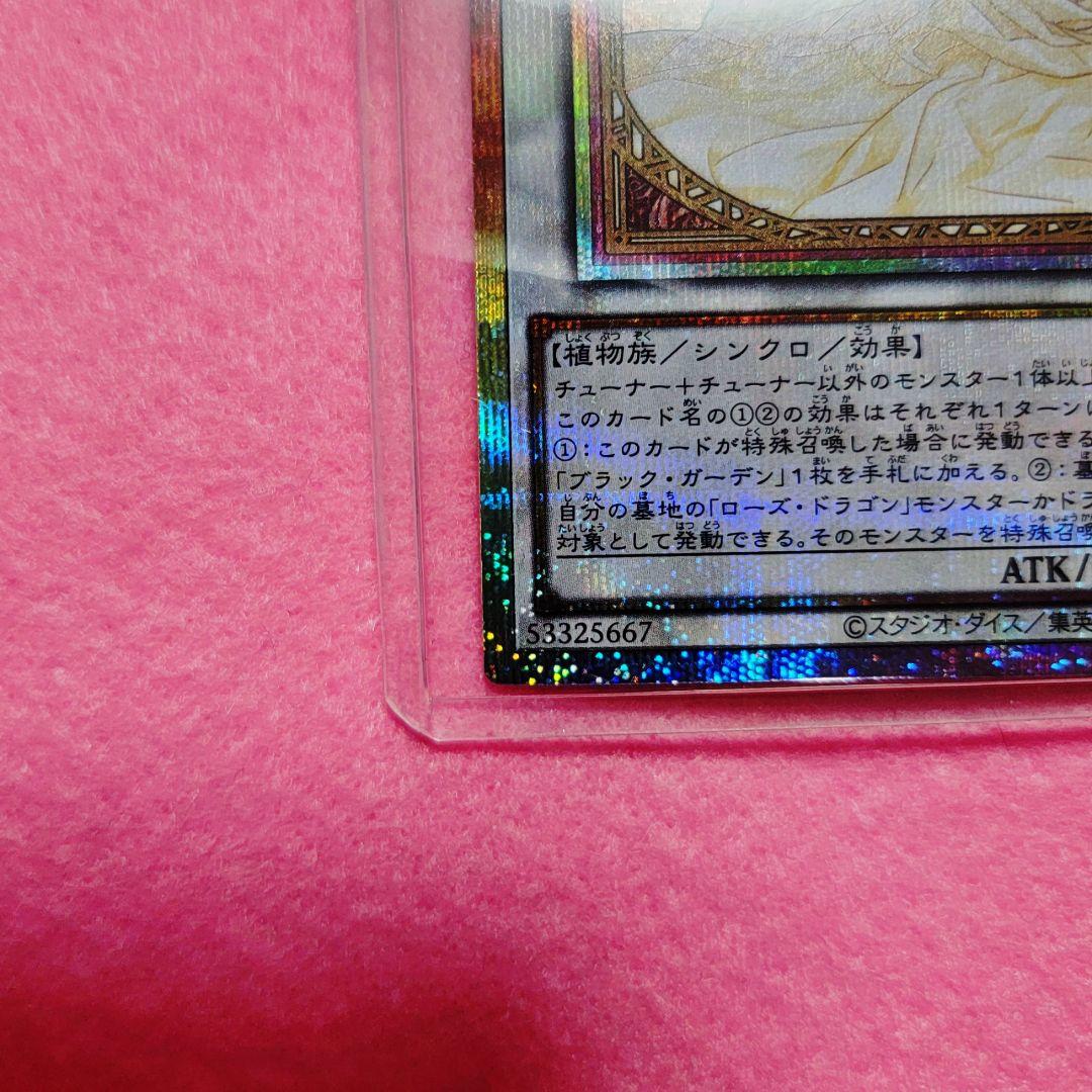 ️⭕️お値下げ中！！ガーデンローズメイデン プリズマティックシークレット