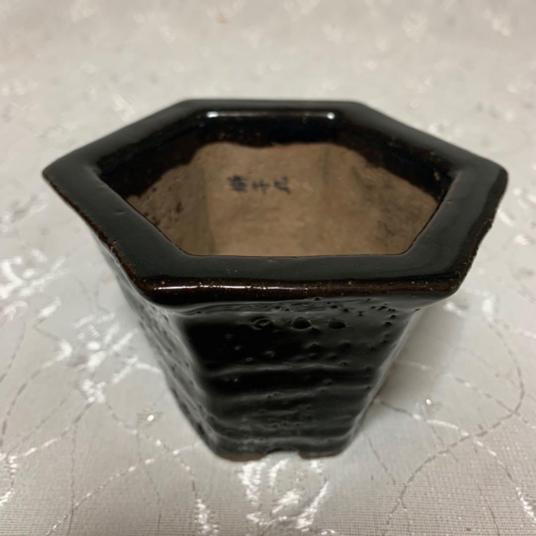 獅子丸　六角　盆栽鉢