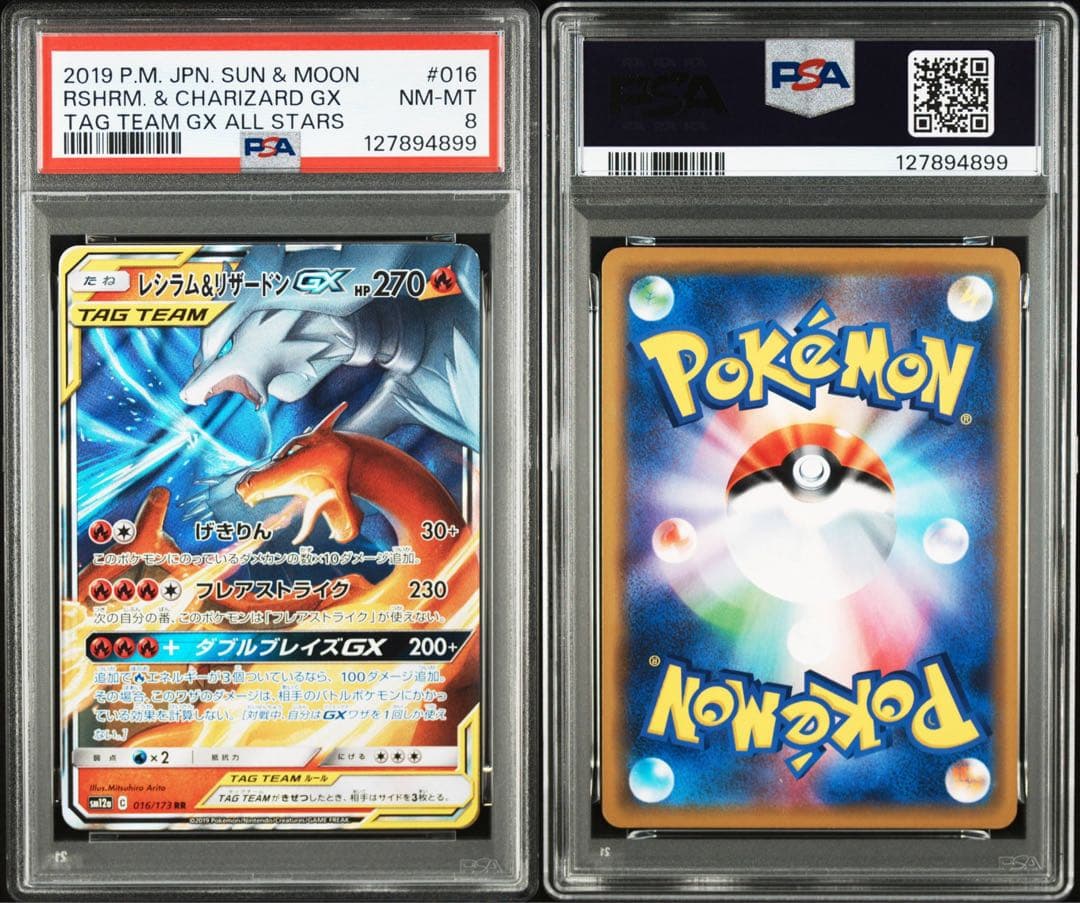 まとめ売り 【PSA8・9】 TAG TEAM タッグチーム 6枚セット