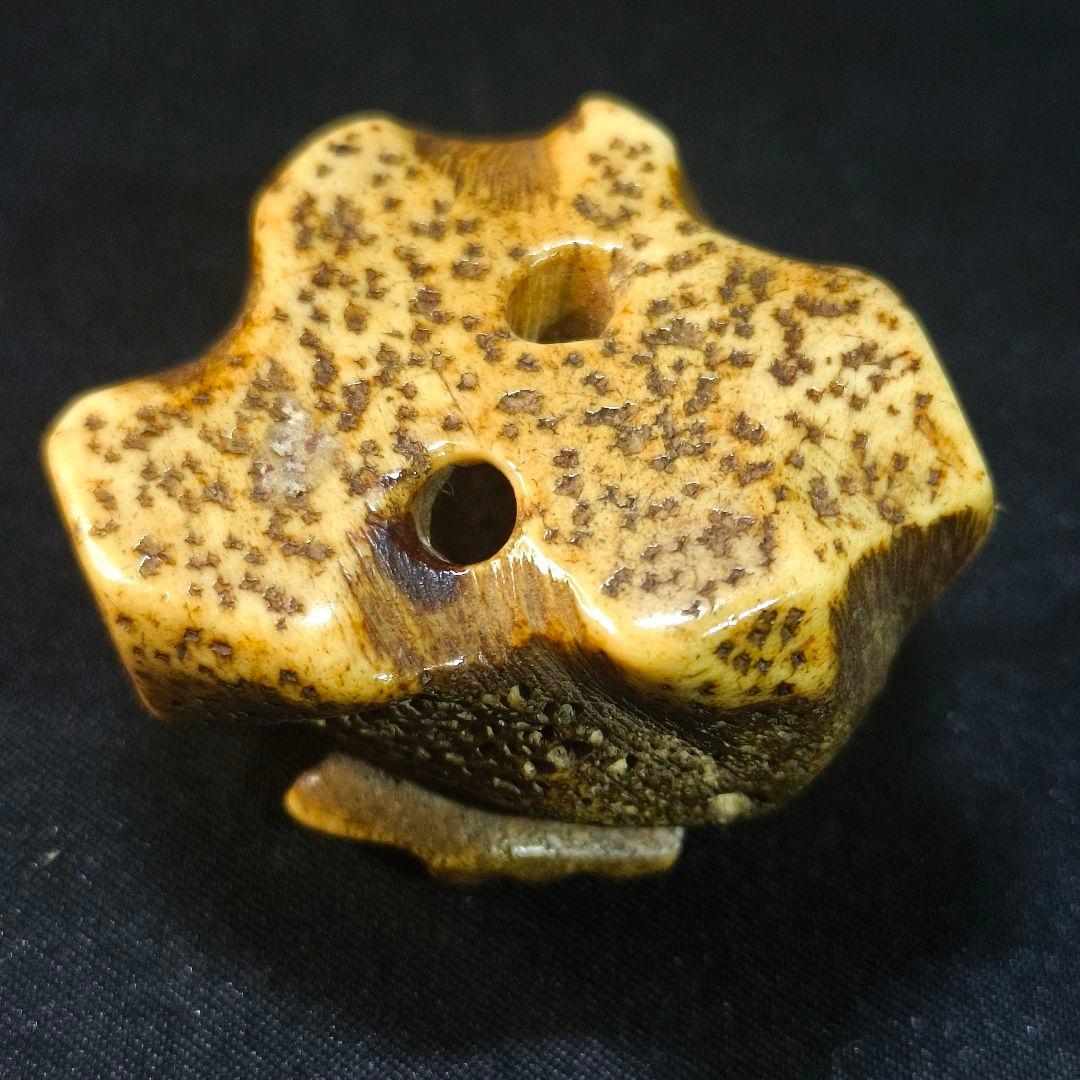 根付 貝尽くし 鹿角彫り 江戸骨董 古美術品 旧家蔵出美品 蒐集家放出 時代物