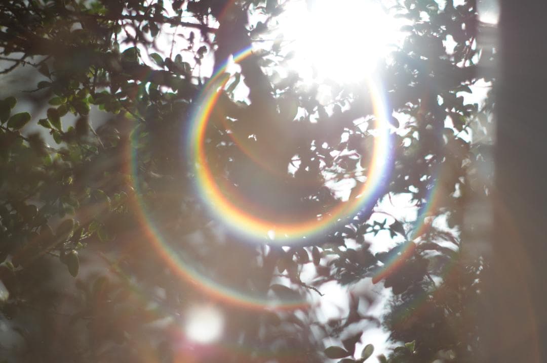 光学極美品_作例有✨ PENTAX スーパータクマー 55mm f1.8 後期型