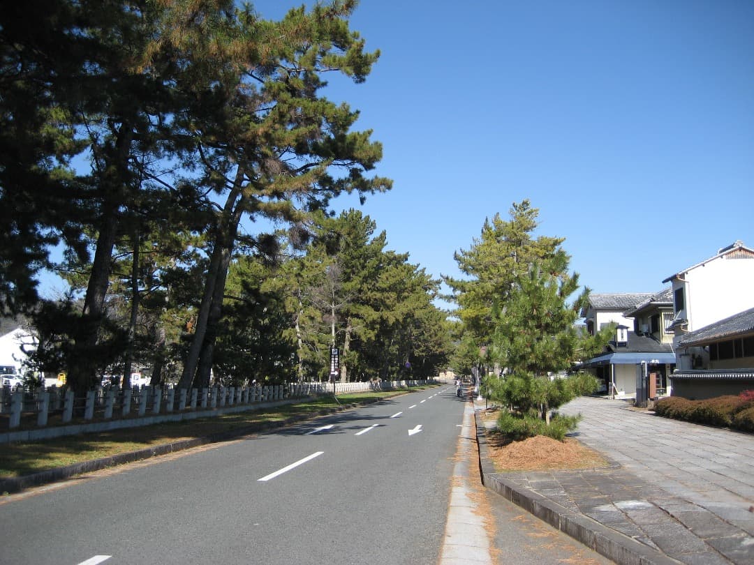 実写美⭕️【動作確認済】Canon　IXY　DIGITAL 70 PC1193