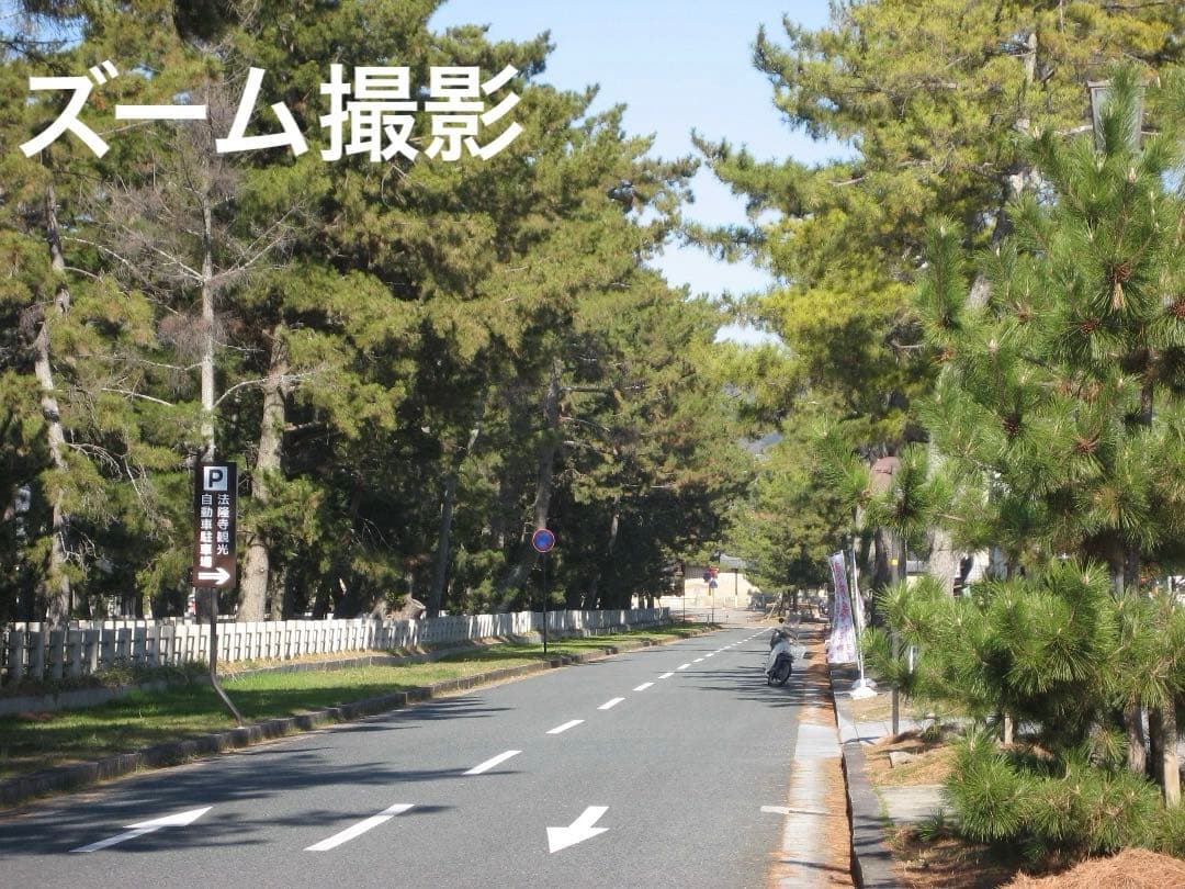 実写美⭕️【動作確認済】Canon　IXY　DIGITAL 70 PC1193