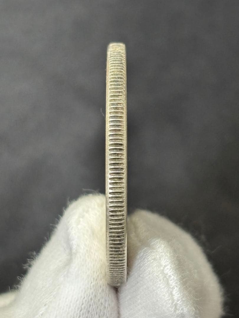 【Sv500】1973年 カナダ エリザベス女王 1ドル銀貨 大型銀貨 ケース付