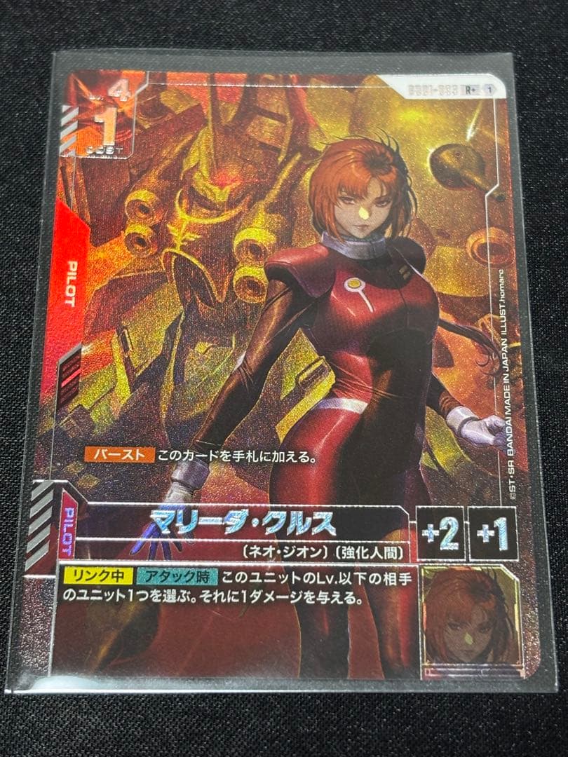 R+マリーダ・クルス　パラレル