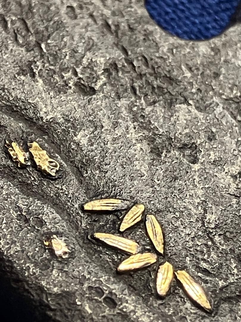 鍔　大刀鍔　日本刀　時代物　金銀象嵌　太公望　武具　刀