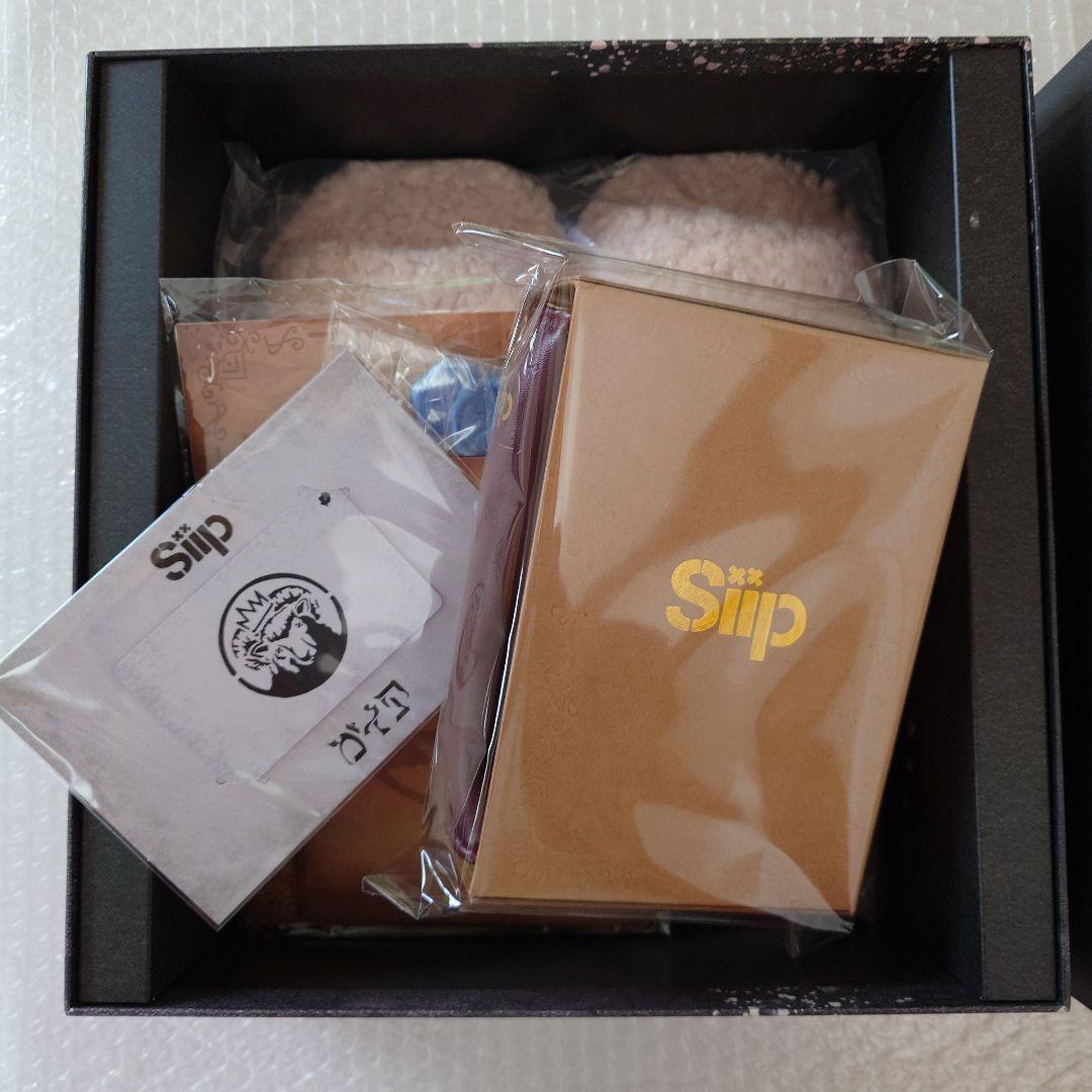 siip ガイア 完全生産限定盤 Play PASS PAK付き