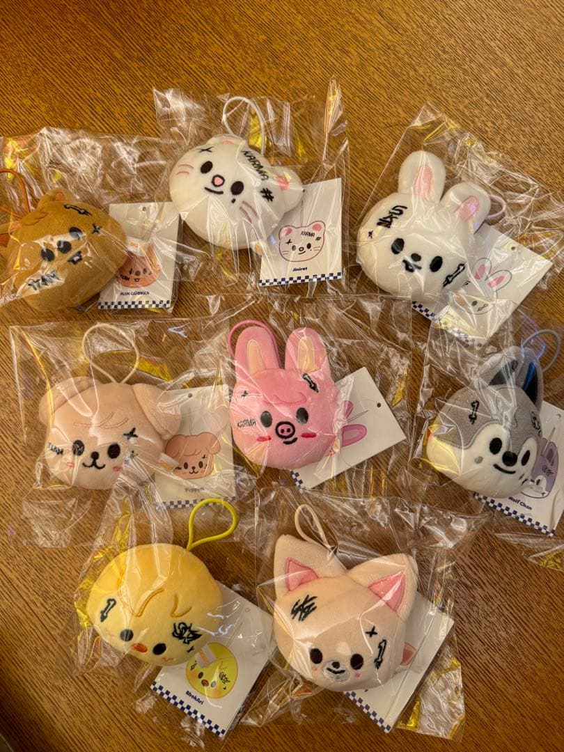 Stray Kids スキズ KARMA ポップアップ ネームタグ コンプ