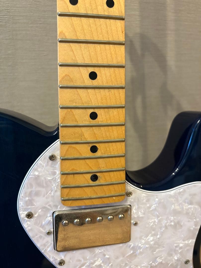 フジゲン テレキャスター ブルー シンライン