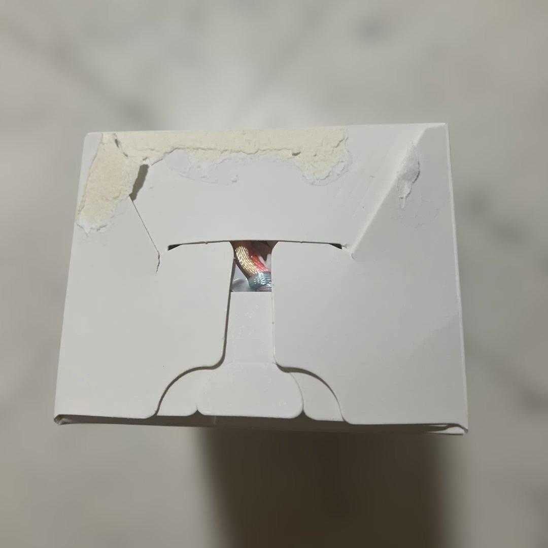 ぺ*け様 【正規品】Labubu Big into Energy ラブブ シーク