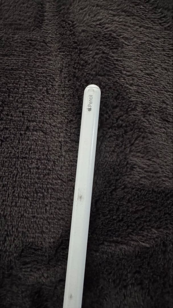 iPad Pro 11インチ (第2世代)128GB+ Apple Pencil