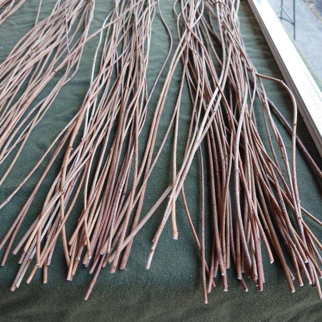 アケビの蔓（根蔓ランナー)