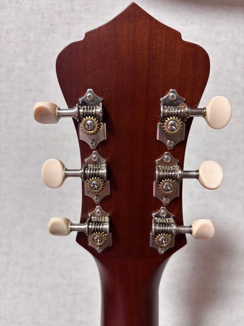 オール単板Recording King トリプルオーエレアコースティックギター