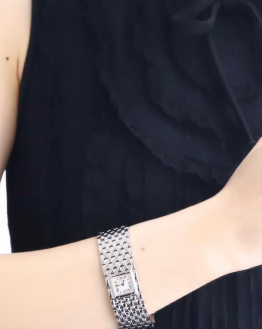 カルティエパンテールリュバン　Cartier コンプリート済（2024年11月）