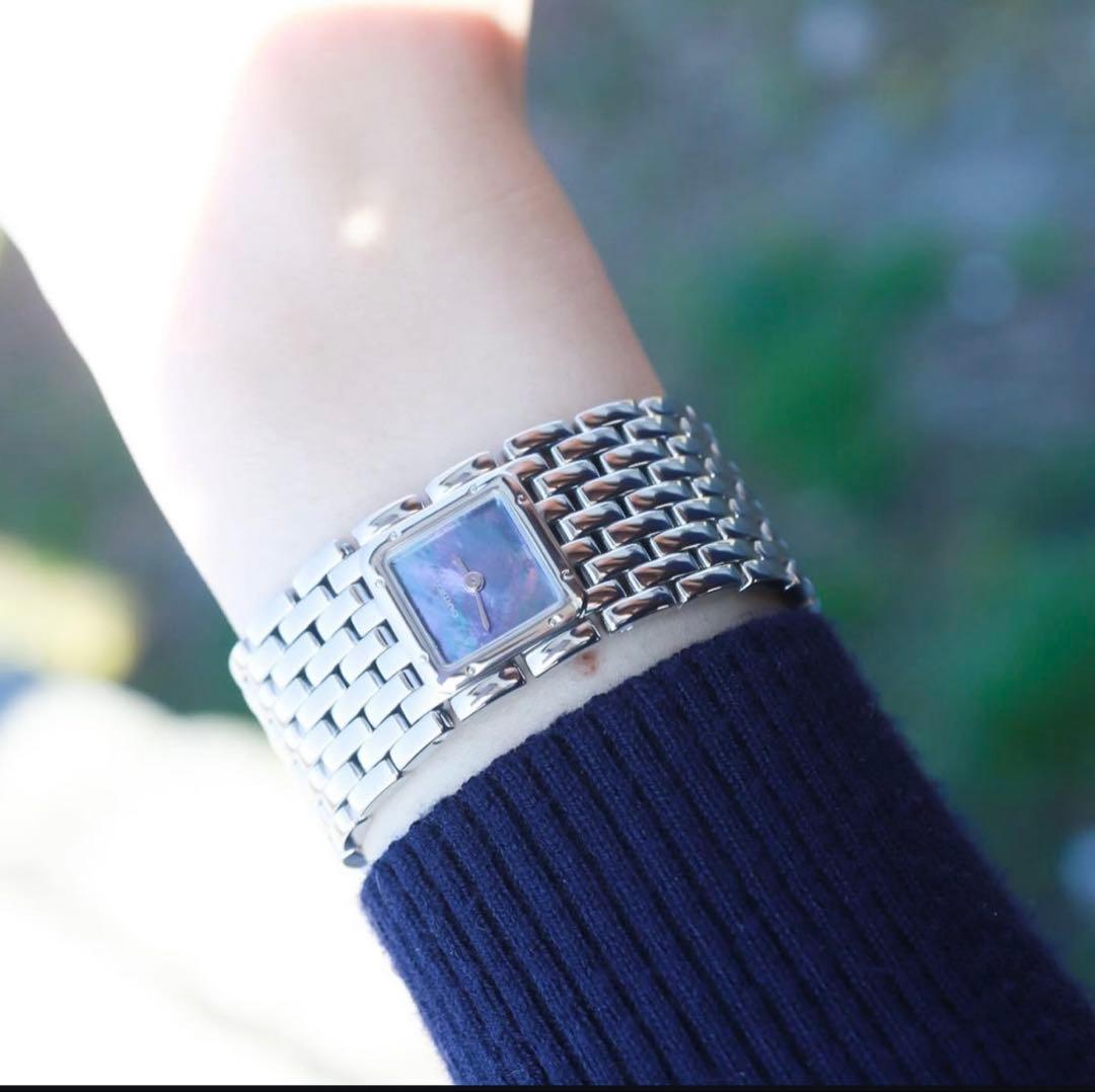 カルティエパンテールリュバン　Cartier コンプリート済（2024年11月）