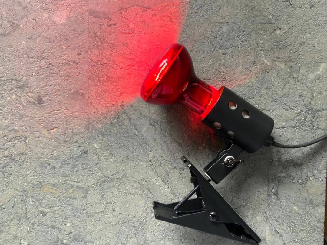 【爬虫類等】保温器具3点セット【GEX・みどり商会】